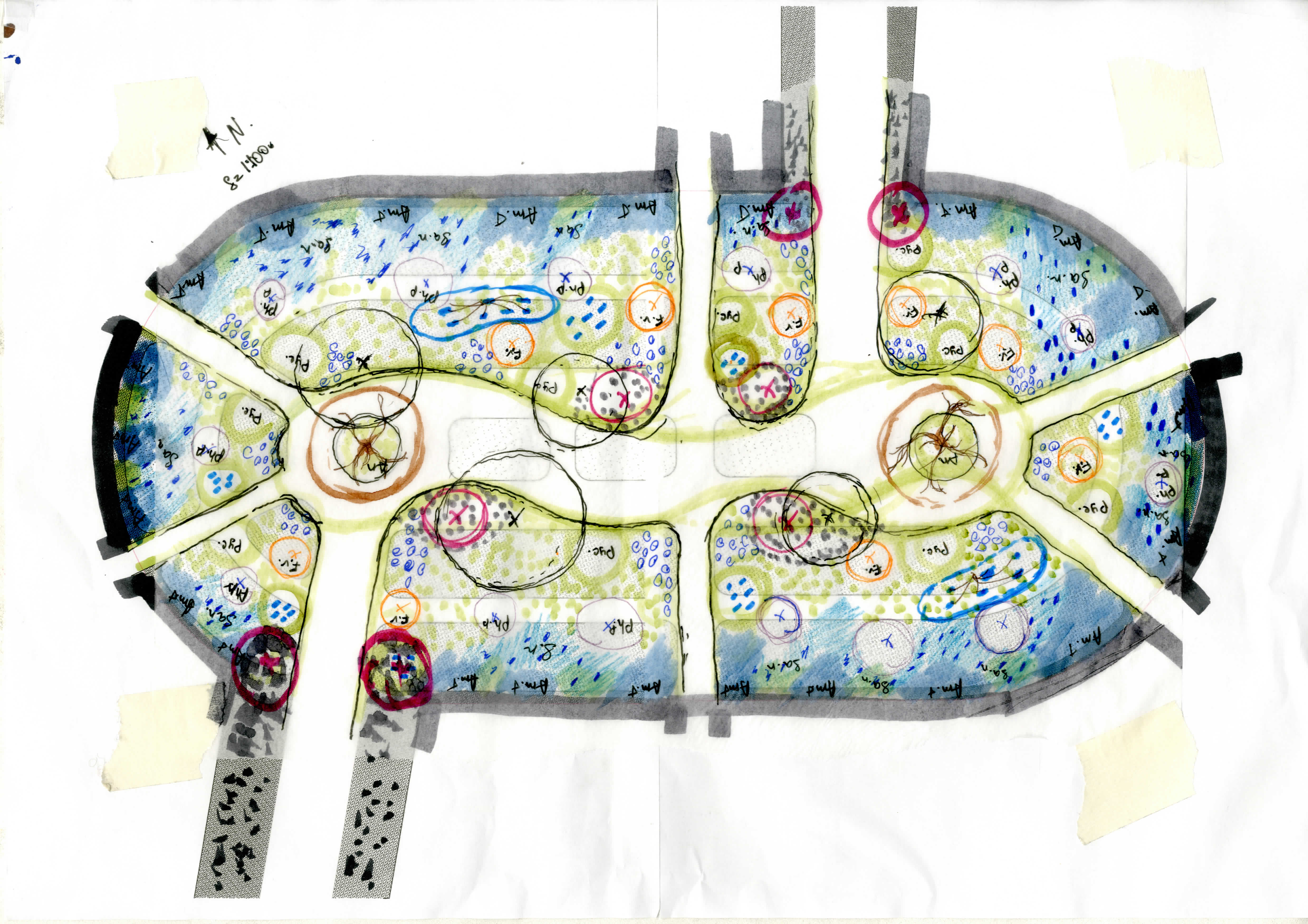 Planting Plan