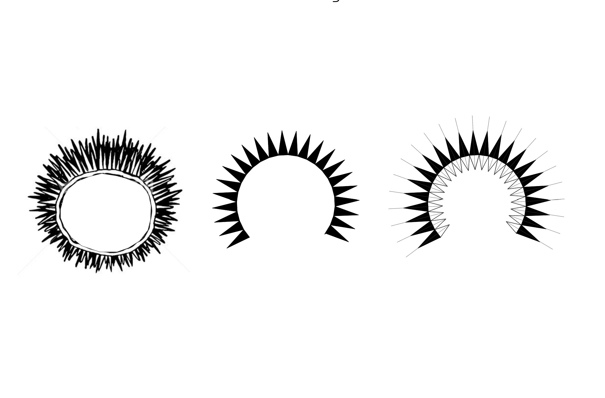 Concept